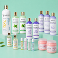 Kit Completo KeraBotox Silver