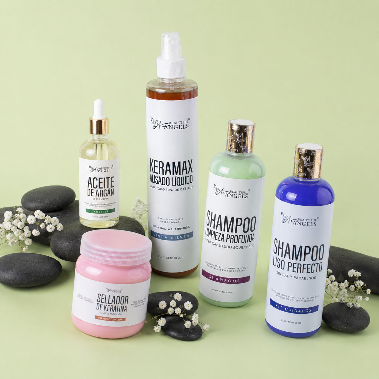 Kit Keramax Silver + Shampoo Limpieza Profunda+ Shampoo Liso Perfecto + Sellador + Aceite de Argan