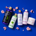 Kit Keratina Coreana Alisante Gold 1L + Shampoo Limpieza Profunda 500ML + Shampoo Liso Perfecto 500ML + Neutralizador 500ML + Sellador de Keratina 250ML