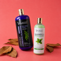 Kit Keratina Coreana Alisante Gold 1L + Shampoo Limpieza Profunda 500 ML