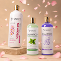 Kit Keratina Tailandesa Silver 1 L + Shampoo Limpieza Profunda 500 ML + Shampoo Liso Perfecto 500 ML