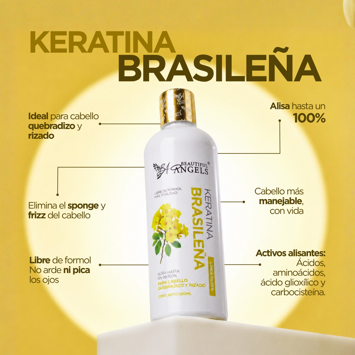 Kit Básico Keratina Brasileña Silver 500 ml – Beautiful Angels – Ideal para Cabello Quebradizo y Rizado, Control del Frizz y Manejable
