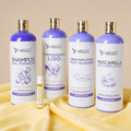 Kit Liso Perfecto: Cabello Más Liso, Suave y Brillante Litro