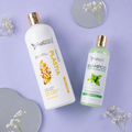 Kit Nanoplastia Silver 1L + Shampoo Limpieza Profunda 500ML