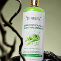 Shampoo con Ácido Hialurónico Beautiful Angels: Hidratación Profunda, Fortaleza desde la Raíz, Prevención de Caída y Cabello Lleno de Vida