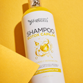 Shampoo Botox Capilar Beautiful Angels: Repara y Fortalece la Fibra Capilar, Controla el Frizz , Aporta Brillo y Vitalidad, Repara y Fortalece
