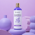 Shampoo Liso Perfecto Beautiful Angels: Ideal para el Cuidado Posterior de Keratinas, Cabello más Liso por más Tiempo, Fórmula Libre de Sales y Parabenos